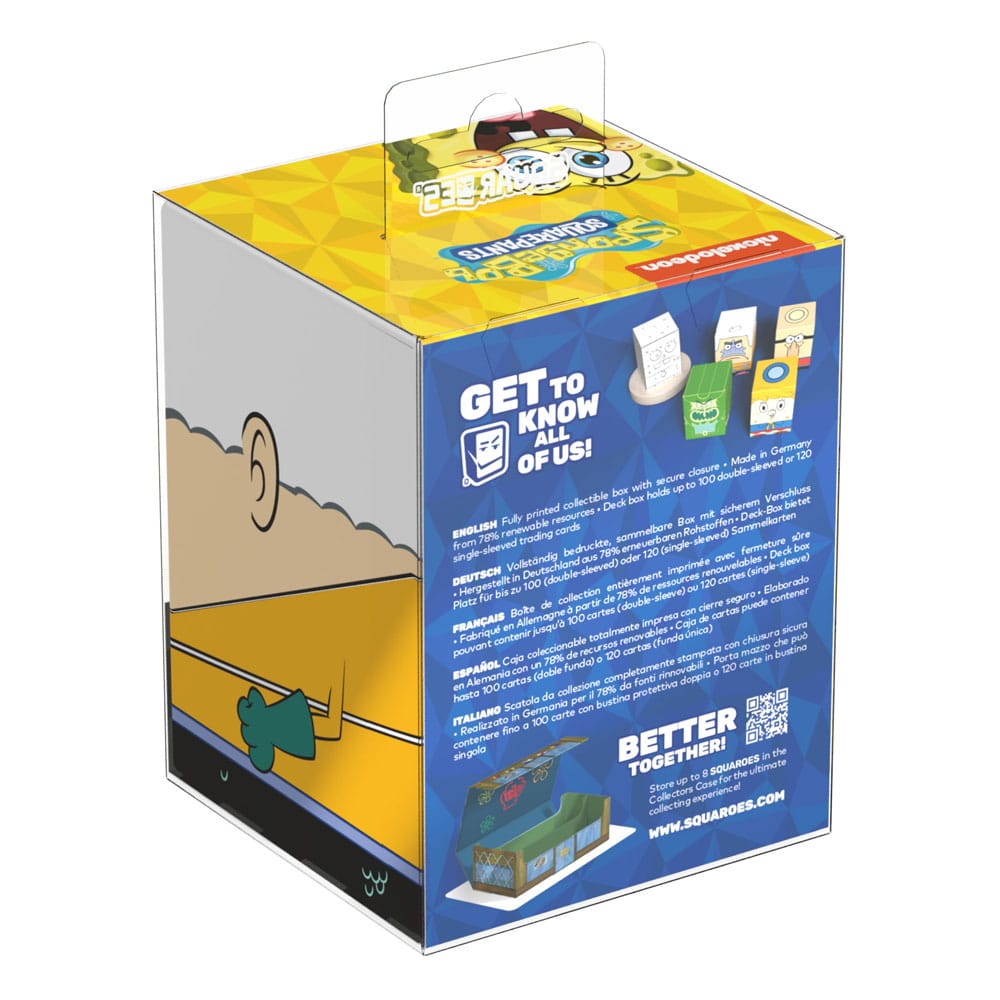 Back of retail packaging with multilingual product information