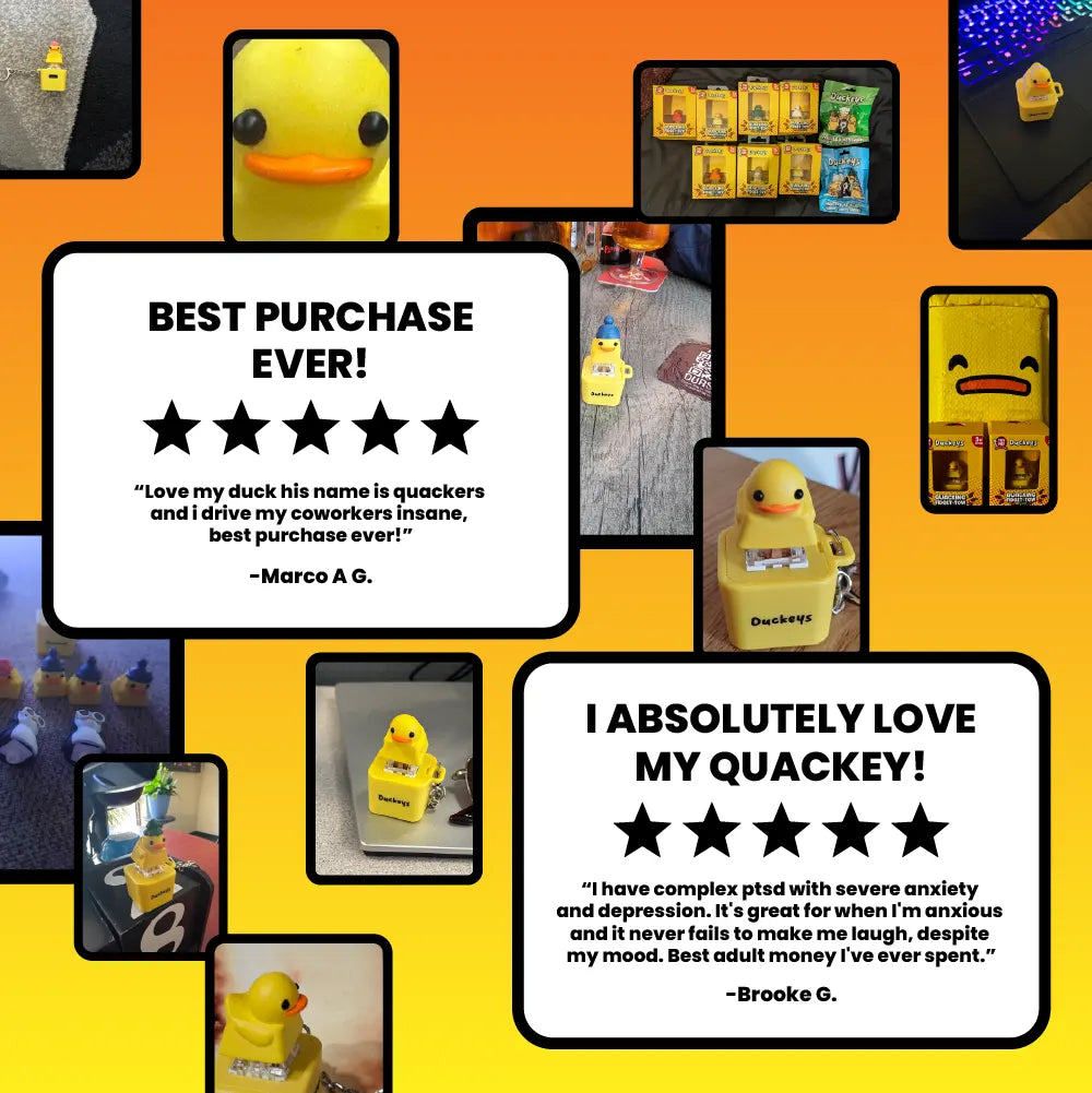 Quacking Fidget Toy with Lights