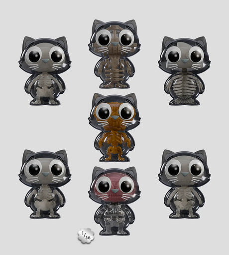 Catscans Bare Bones blind box series featuring multiple X-ray style cat figures with different skeleton designs