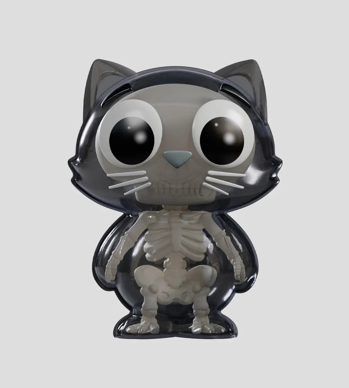 Catscans Bare Bones cat showing full ribcage and spine inside dark transparent shell