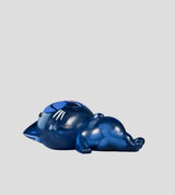 Catscans cat figure lying on back showing internal glowing food items