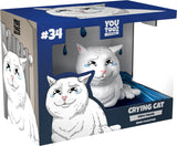 Crying Cat Meme Youtooz vinyl figure in retail box packaging from the Youtooz Meme Collection