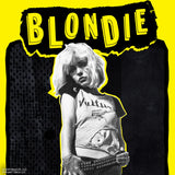 Blondie Debbie Harry Vultures artwork featured on the ReAction Figure collector packaging