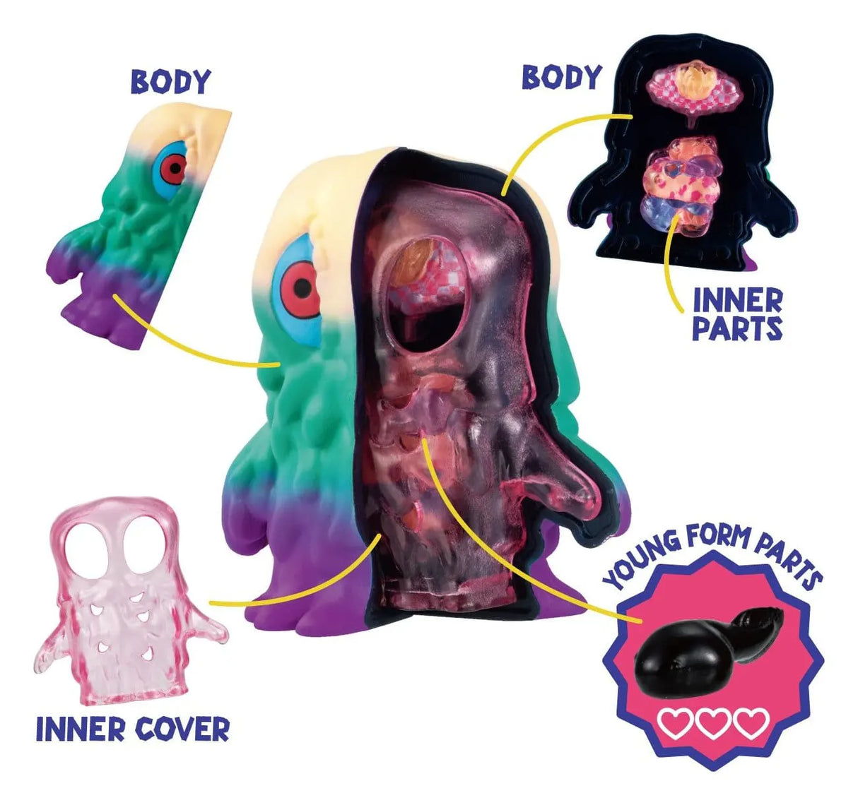 Hedorah Inside Fantasy removable body and internal parts diagram