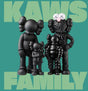 KAWS FAMILY art book featuring KAWS Companion and BFF sculptures on the cover