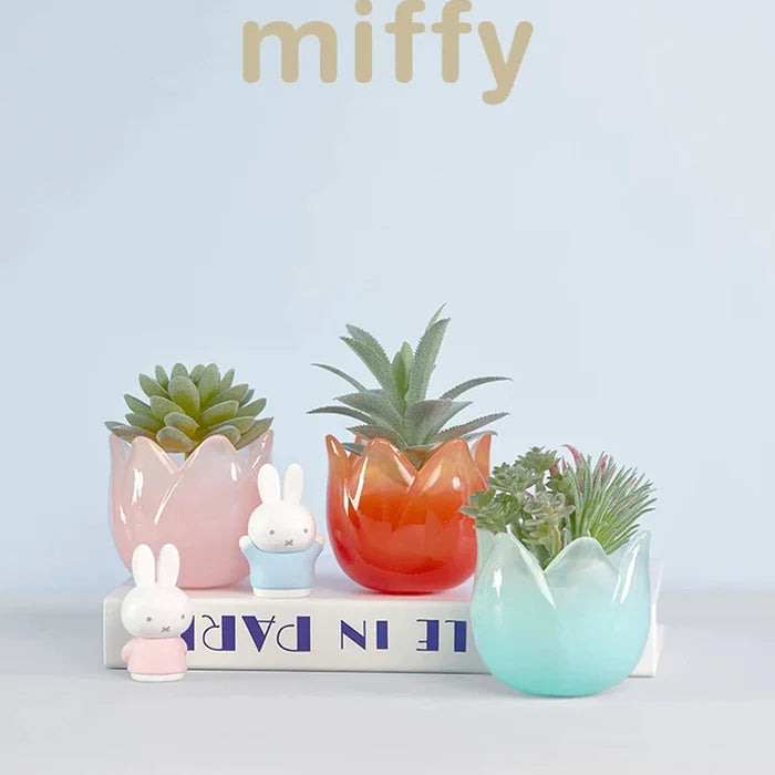Miffy Tulip Series containers used as decorative planters with succulents and small plants