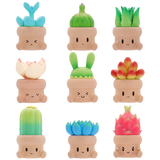 Penpot Hugging Succulents