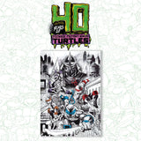 TMNT limited edition art print showing Leonardo, Donatello, Michelangelo, and Raphael battling Shredder