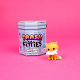 Trash Kitties Mystery Box - Series 3