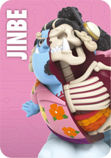 XXRAY Jinbe One Piece Egghead Arc Series figure blind box