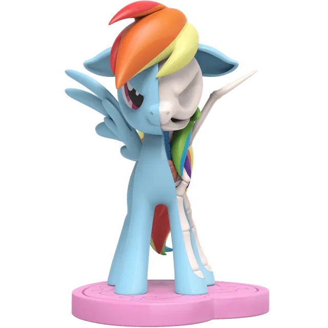 Mighty Jaxx Freeny's Hidden Dissectibles: My Little Pony Series 1 by Jason Freeny - Rainbow Dash